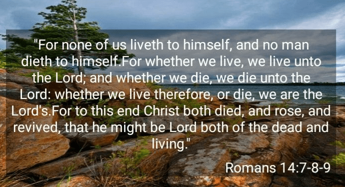 Screenshot_2018-06-24-10-33-49-1