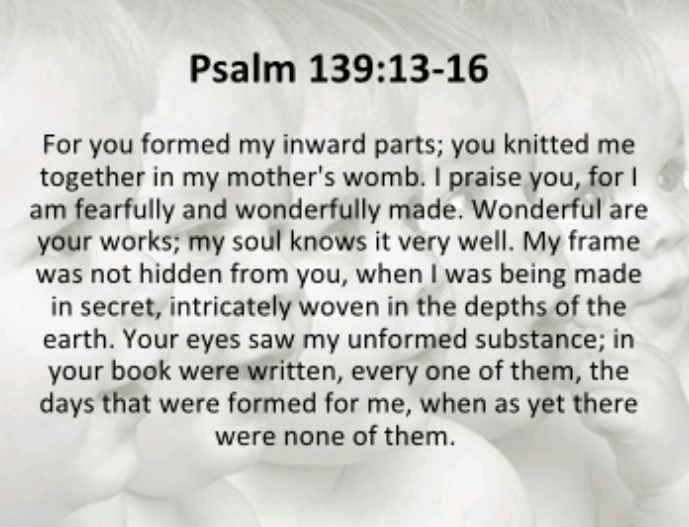 Screenshot_2018-07-15-09-22-31-1