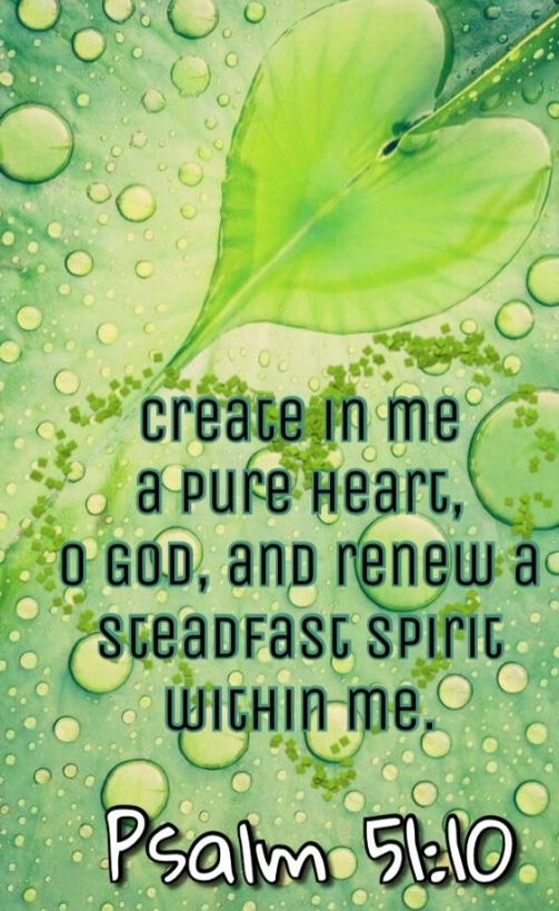 Screenshot_2018-08-05-06-36-38-1