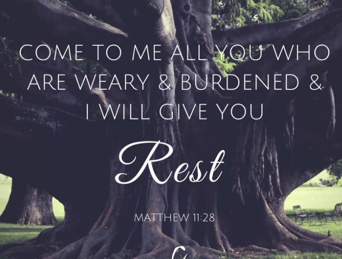 Screenshot_2018-08-05-06-38-54-1