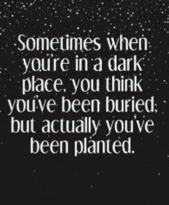 Screenshot_2018-08-05-06-40-59-1