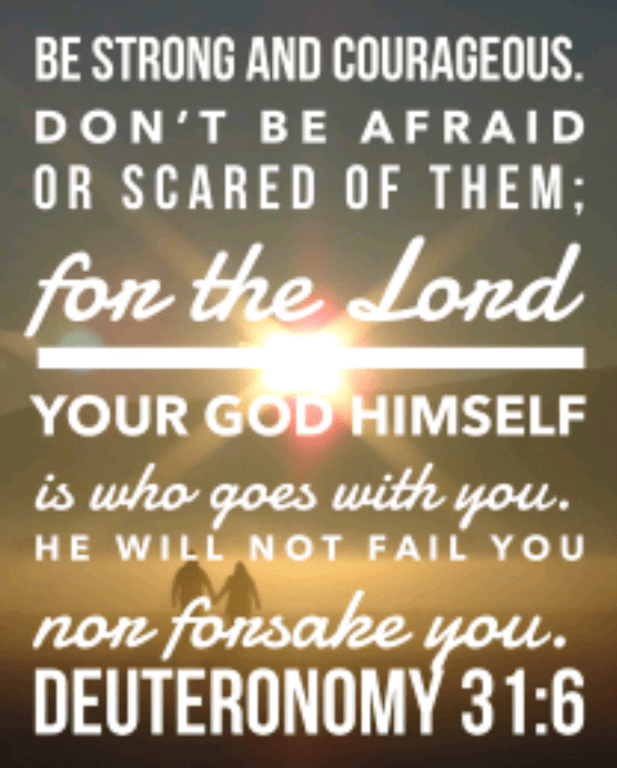 Screenshot_2018-08-13-06-05-02-1