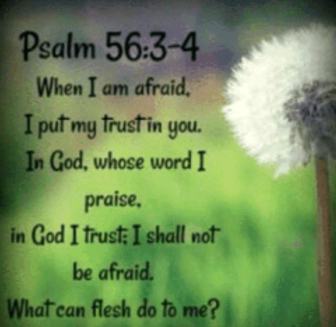 Screenshot_2018-08-13-06-13-17-1