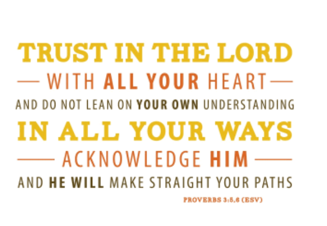 Screenshot_2018-08-13-06-14-54-1