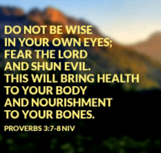 Screenshot_2018-08-13-06-15-40-1