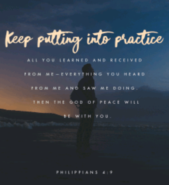 Screenshot_2018-08-19-11-10-26-1