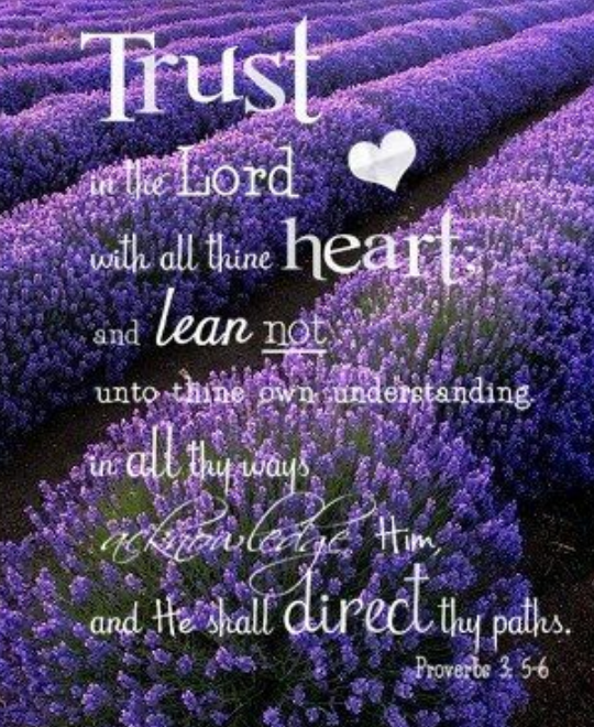 screenshot_2019-01-08-14-59-48-1