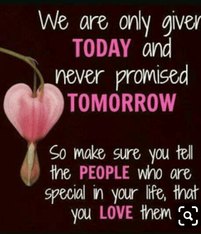 screenshot_2019-01-08-15-01-32-1