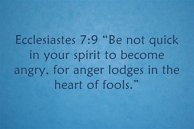 c6b0670906bb5e495fc91ee9c6f5a7e0