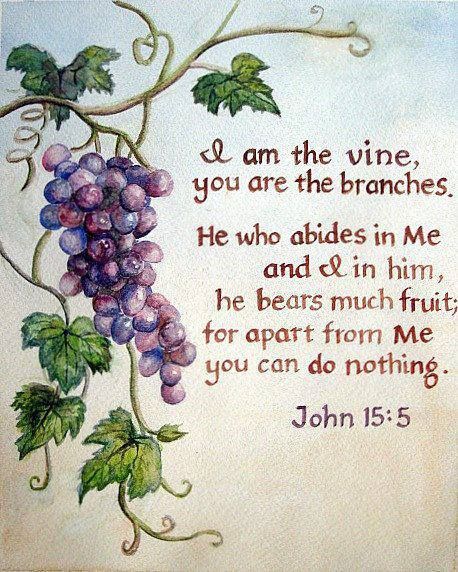 john155