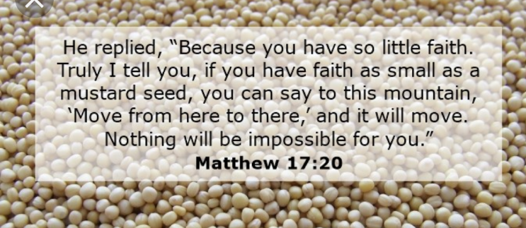 Screenshot_20190526-085836