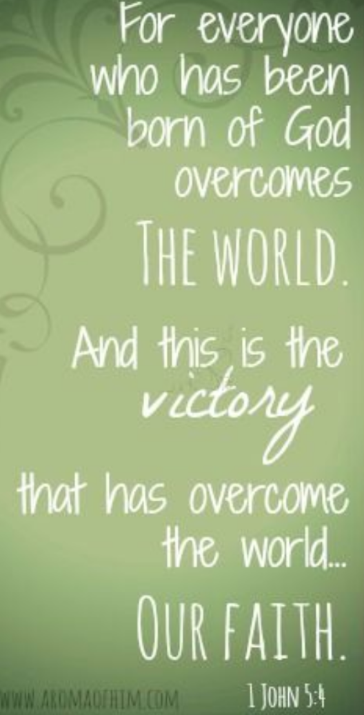 Screenshot_20190526-091314