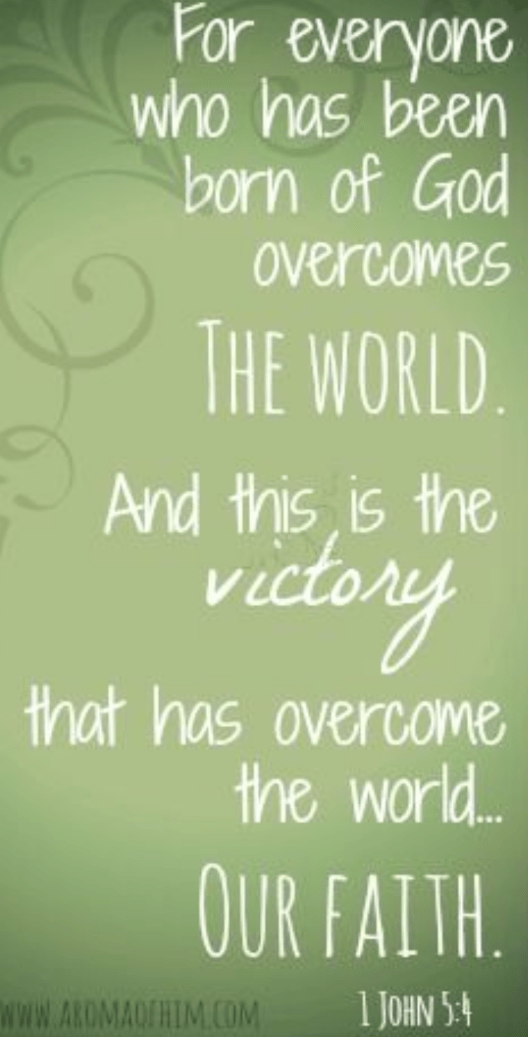 Screenshot_20190526-091314