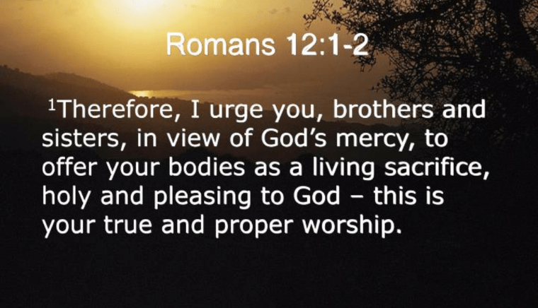 Screenshot_20190608-075329