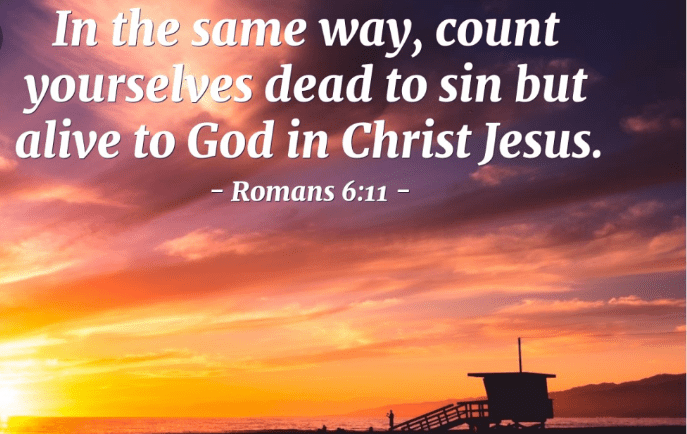 Screenshot_20190608-080049