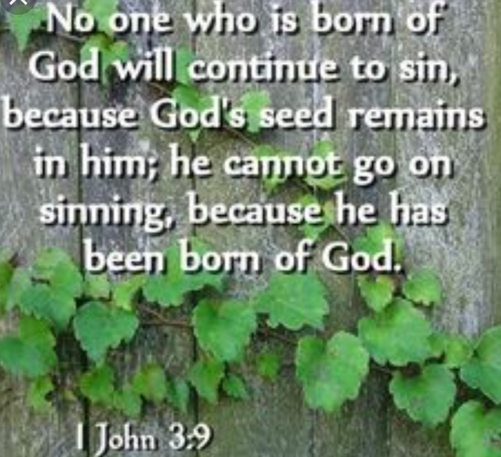 Screenshot_20190608-080251