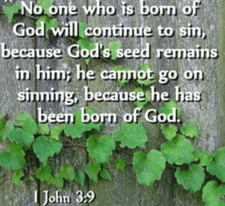 Screenshot_20190608-080251