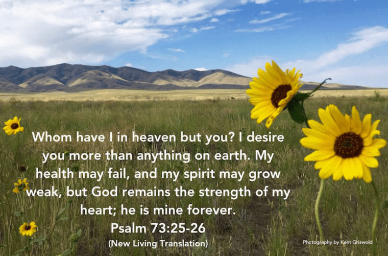 Screenshot_20190608-080346