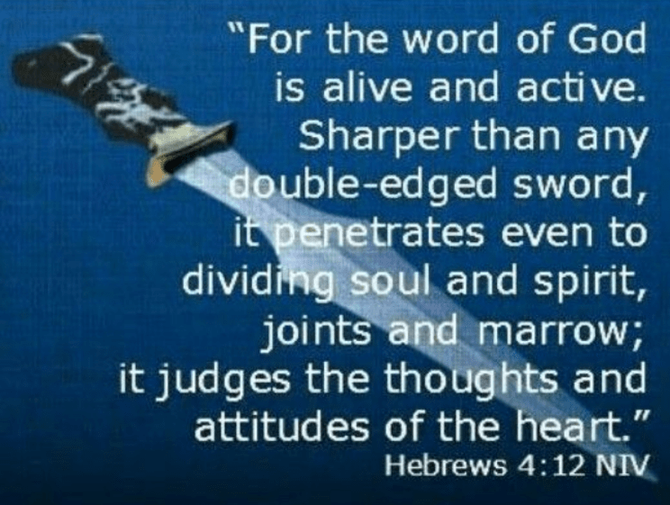 Screenshot_20190608-081125